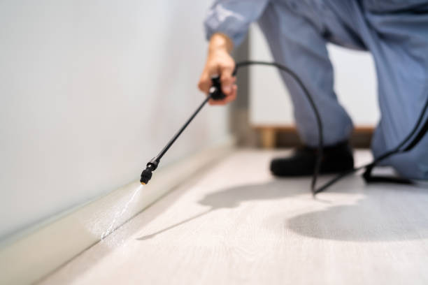 Professional exterminator conducting IPM assessment in Angier