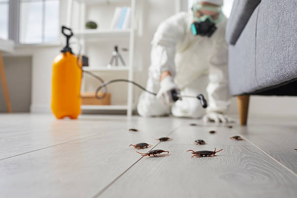 Commercial Kitchen Cockroach Control in Angier